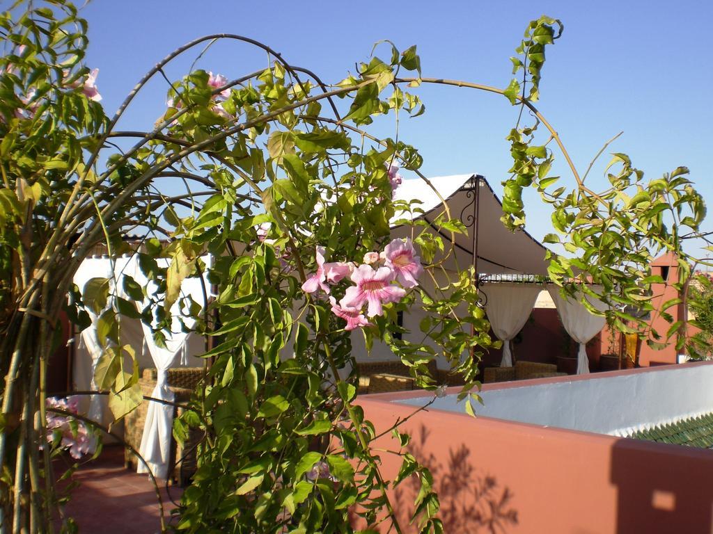Riad Mariana Марракеш Экстерьер фото